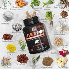 Liver Pro - Fatty Liver Ayurvedic Supplement | Helps Restore Liver Health & Remove Toxins | 100% Natural & Ayurvedic | 28 Days Program