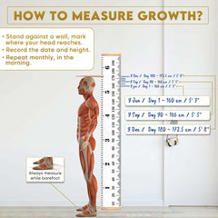 Growth DNA - Ayurvedic Height Increaser Program | Growth Plate Activator | Guaranteed Results Formula | 100% Natural